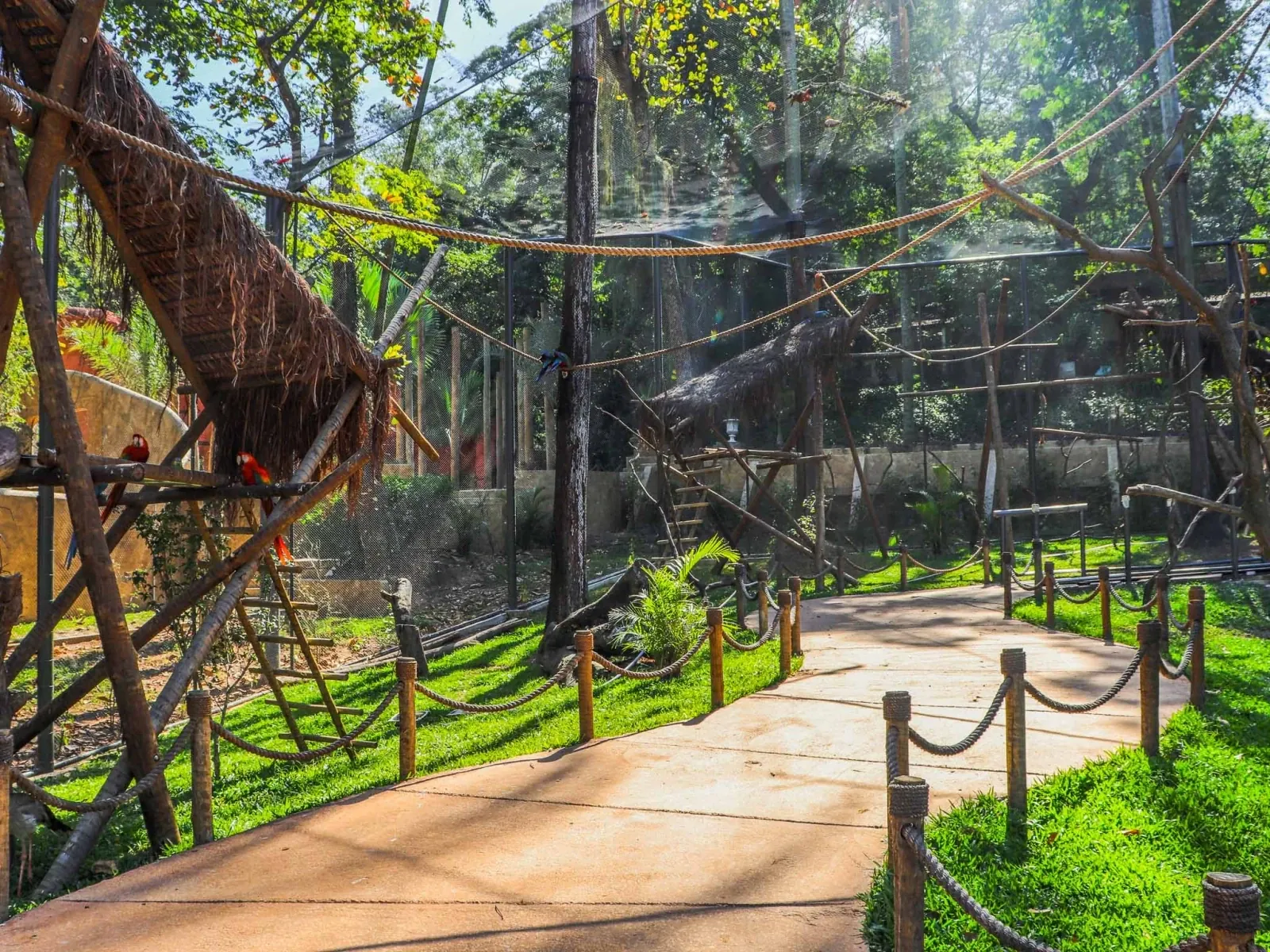 Um novo conceito de zoológico