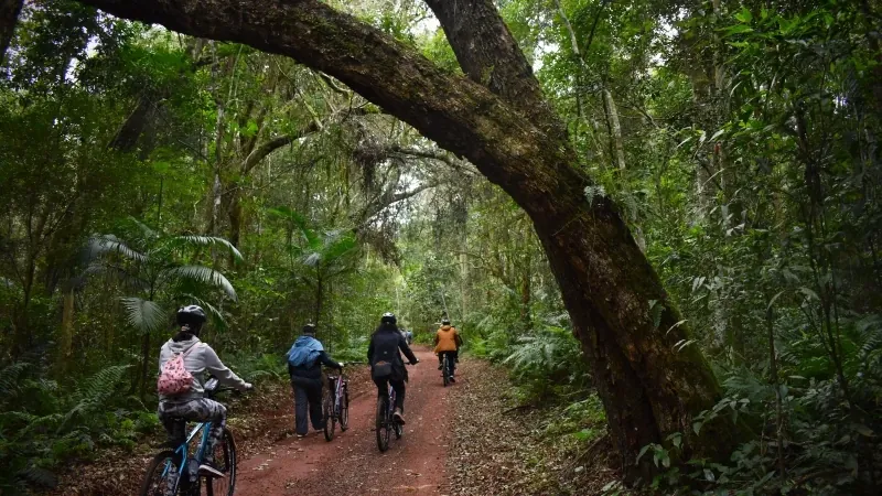 Bike tour Poço Preto