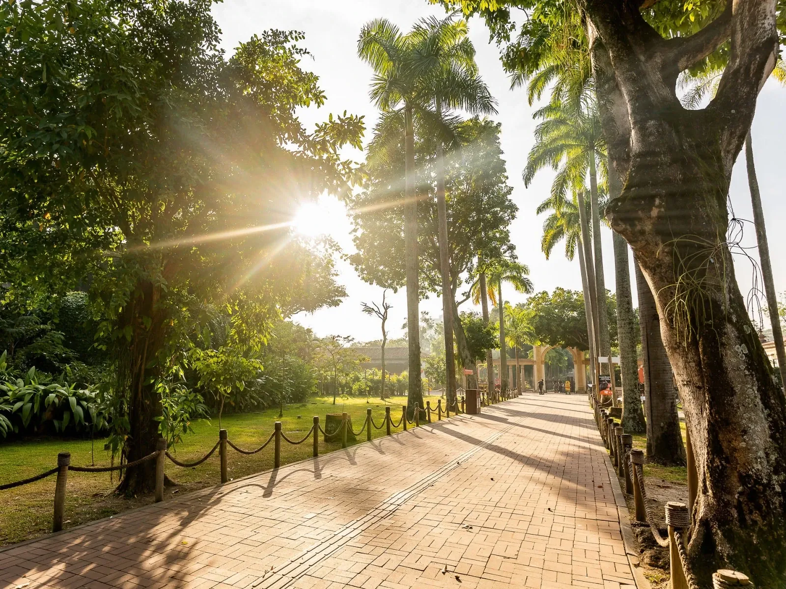No coração da Quinta da Boa Vista
