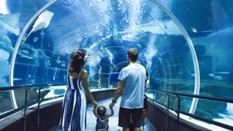 Cristo Redentor + AquaRio